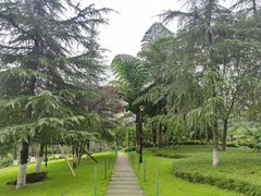 -龙头寺公园