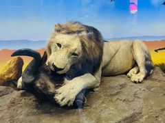 -国家自然博物馆