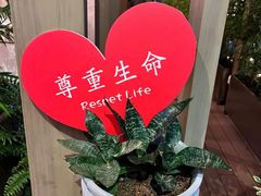 -若蘭慈·无国界素食料理(欢乐海岸店)