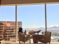 -拉斯维加斯永利酒店