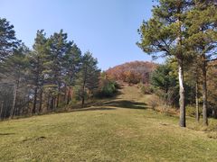 -玉泉威虎山森林公园