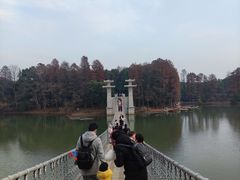 -东湖落雁景区