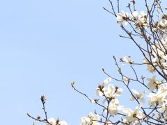 -西安市广仁寺