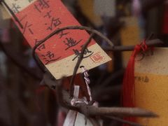 -吉林大学前卫校区南区-日新楼