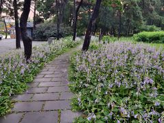 -长春市南湖公园