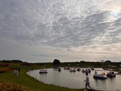 -空港花田景区
