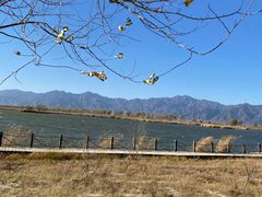 -野鸭湖国家湿地公园