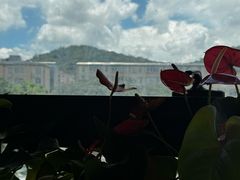 -粤点越有·茶点·粤菜(樵岭国际店)