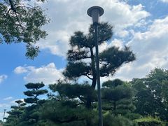 -名古屋城