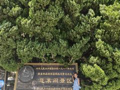 -蓬莱阁景区