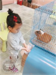 -万达宝贝乐园(北京槐房店)