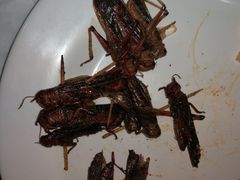 -璐法式铁板烧(滏东总店)