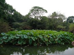 -成都杜甫草堂博物馆