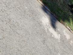 -哈尔滨北方森林动物园
