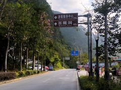 -长寿村