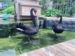 -南京圣和府邸豪华精选酒店