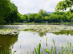 -茅家埠