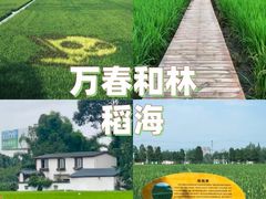 -老鼎万春卤菜(五代传承创始老店)