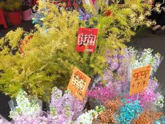 -天河体育中心
