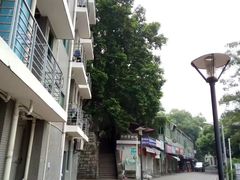 -福建师范大学(仓山校区)