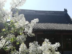 -南普公园