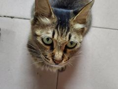 -青韵台陶艺Diy(永庆坊店)