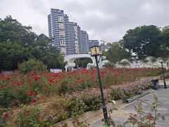 -玫瑰海岸文化旅游度假区