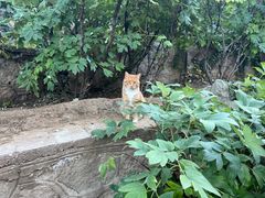 -颐和园