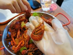-杨氏青龙虾·羊蝎子(托乐嘉店)