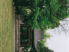 -汇龙潭