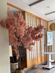 -茉秀必瘦站