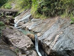 -广州白江湖森林公园