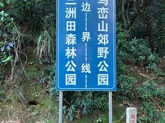 -马峦山郊野公园