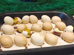 -金陵食府(林景店)