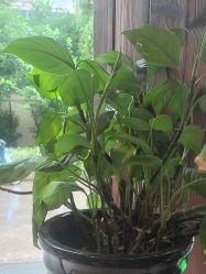 -香秀空间科技抗衰·美容中心