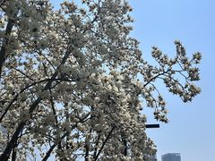 -南京眼步行桥