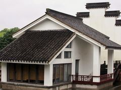 -上海共青森林公园