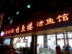 -岩泊渡桂鱼楼活鱼馆