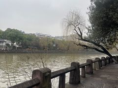 -信义坊码头