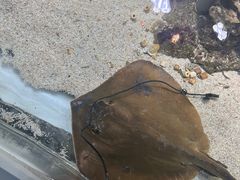 -嘉兴海底世界