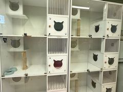 -沐沐家宠物(成寿寺店)