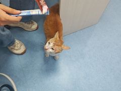 -博特宠物医院24h犬猫全科.骨科·异宠