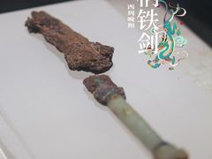 -河南博物院