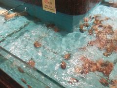 -西贝海鲜汇(槐安路店)