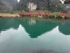 -靖西鹅泉风景区