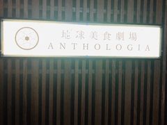 -地球美食剧场