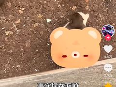 -昆明动物园