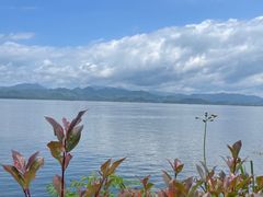 -坛南湾阿强农家乐.海鲜大排档老字号(福州地标美食店)