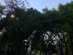 -常州古运河南大街文化旅游区-人民公园