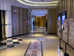 -百丽宫影城(CGS激光苏宁广场店)
